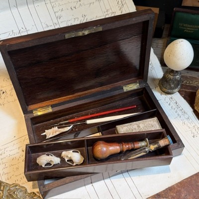 Napoleon III compartmentalised box in rosewood veneer