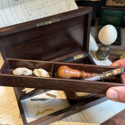 Napoleon III compartmentalised box in rosewood veneer