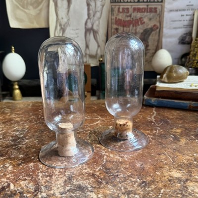 Cloche à spécimen en verre soufflé - Cloche d'apothicaire renversée - Vase à graines