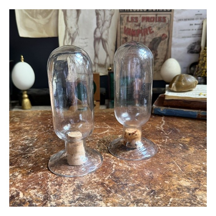 Cloche à spécimen en verre soufflé - Cloche d'apothicaire renversée - Vase à graines