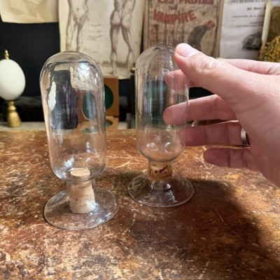 Specimen jar in blown glass - Inverted apothecary jar- Seed vase