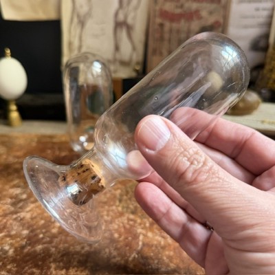 Specimen jar in blown glass - Inverted apothecary jar- Seed vase