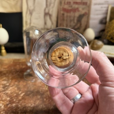 Cloche à spécimen en verre soufflé - Cloche d'apothicaire renversée - Vase à graines