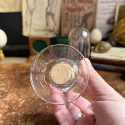 Cloche à spécimen en verre soufflé - Cloche d'apothicaire renversée - Vase à graines