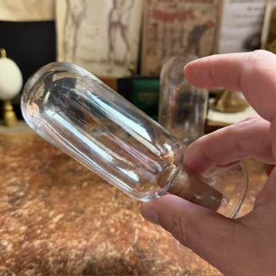 Cloche à spécimen en verre soufflé - Cloche d'apothicaire renversée