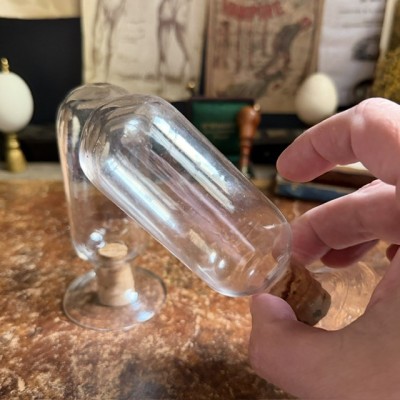 Specimen jar in blown glass - Inverted apothecary jar- Seed vase