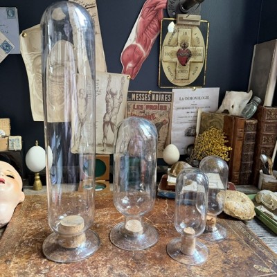 Cloche à spécimen en verre soufflé - Cloche d'apothicaire renversée - Vase à graines