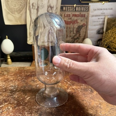 Cloche à spécimen en verre soufflé - Cloche d'apothicaire renversée - Vase à graines