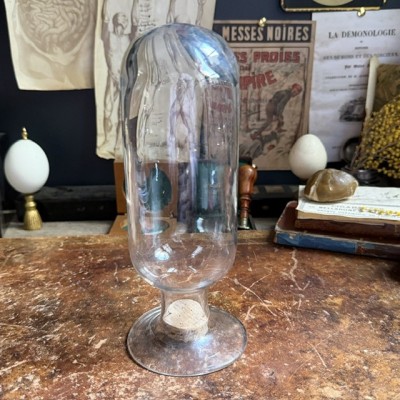 Cloche à spécimen en verre soufflé - Cloche d'apothicaire renversée - Vase à graines