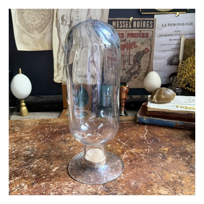 Cloche à spécimen en verre soufflé - Cloche d'apothicaire renversée