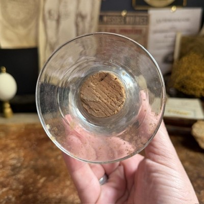 Specimen jar in blown glass – Inverted apothecary jar- Seed vase