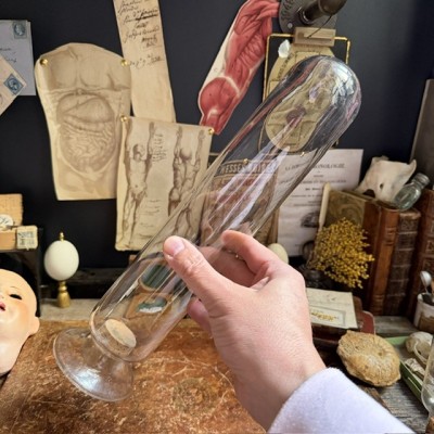Cloche à spécimen en verre soufflé - Cloche d'apothicaire inversée - Vase à graines