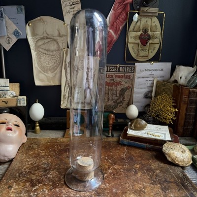 Cloche à spécimen en verre soufflé - Cloche d'apothicaire inversée - Vase à graines