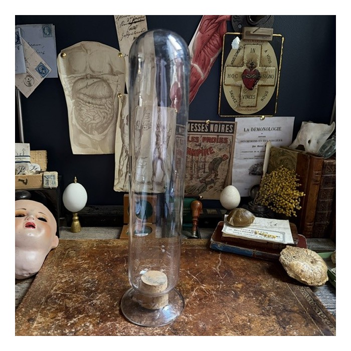 Cloche à spécimen en verre soufflé - Cloche d'apothicaire inversée - Vase à graines