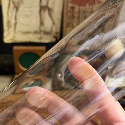 Specimen jar in blown glass -  Inverted apothecary jar - Seed vase