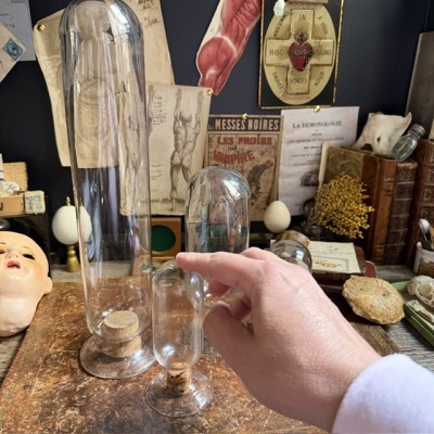 Cloche à spécimen en verre soufflé - Cloche d'apothicaire inversée - Vase à graines