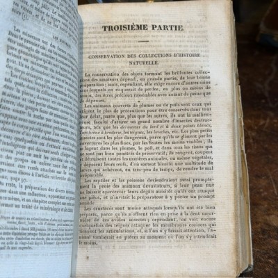 Manual of the Naturalist - Treaty of Embalmings by BOITARD - 1852