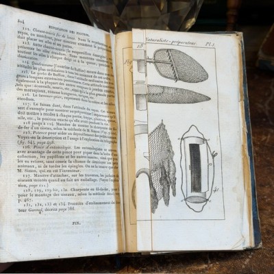 Manual of the Naturalist - Treaty of Embalmings by BOITARD - 1852