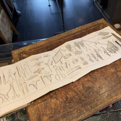 Manual of the Naturalist - Treaty of Embalmings by BOITARD - 1852