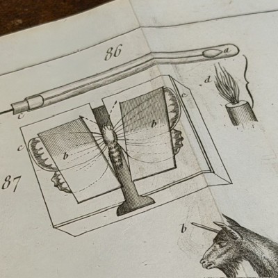 Manual of the Naturalist - Treaty of Embalmings by BOITARD - 1852