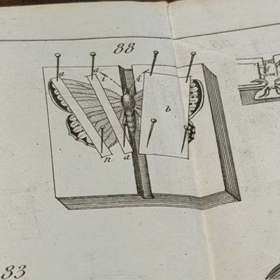 Manuel du Naturaliste - Traité des Embaumements - BOITARD - 1852