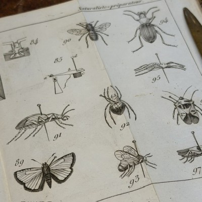 Manual of the Naturalist - Treaty of Embalmings by BOITARD - 1852