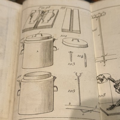 Manual of the Naturalist - Treaty of Embalmings by BOITARD - 1852