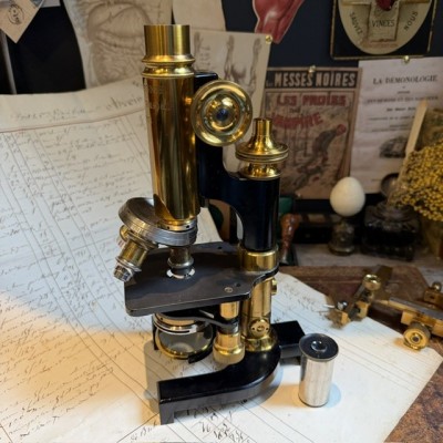 Stiassnie Microscope Paris - Laboratory microscope - Circa 1905–1908