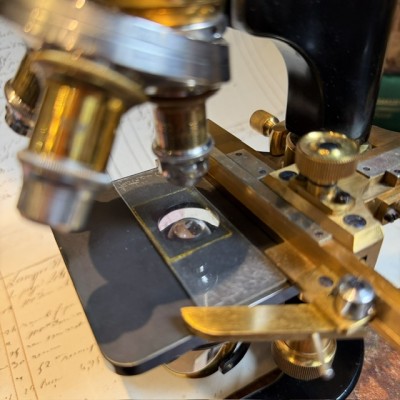 Microscope Stiassnie Paris en laiton - Coffret acajou - 1905/1908