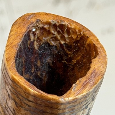 Antique Betel lime powder box - Tribal art West Timor - Engraved bone