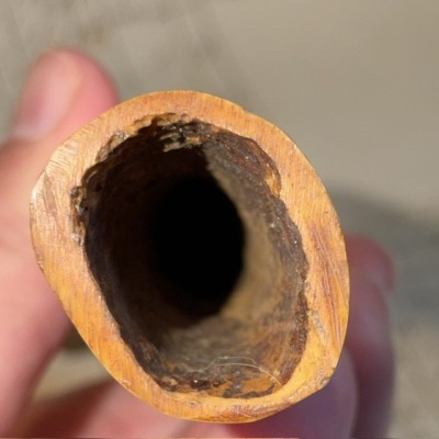 Sami Needle Case (Nallugoat) - Folk Art from Sápmi (Lapland) 1880–1910