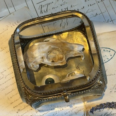 Boite reliquaire du XIXème siècle - Coffret à bijoux