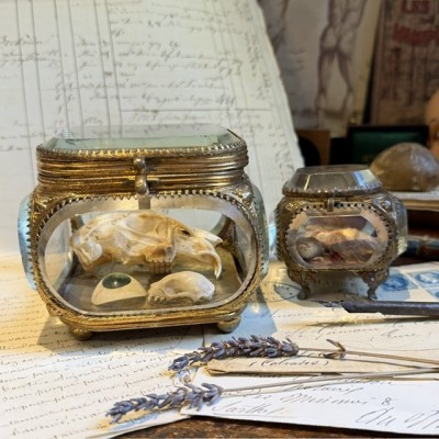 Boite reliquaire du XIXème siècle - Coffret à bijoux