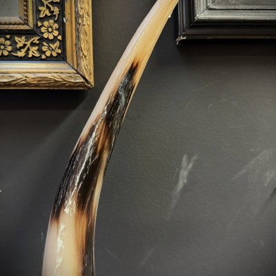 Greater Koudou polished horn on pedestal South african antelope