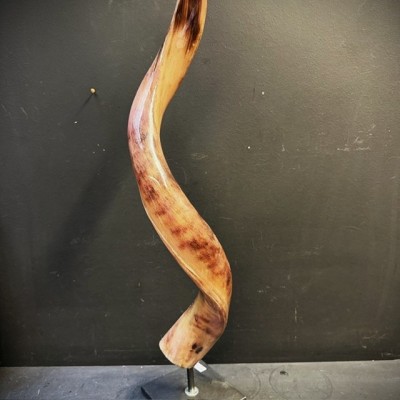 Corne de Grand Koudou sur socle - Antilope Tragelaphus strepsiceros