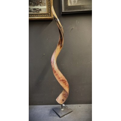 Corne de Grand Koudou sur socle - Antilope Tragelaphus strepsiceros