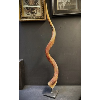 Greater Koudou polished horn on pedestal South african antelope