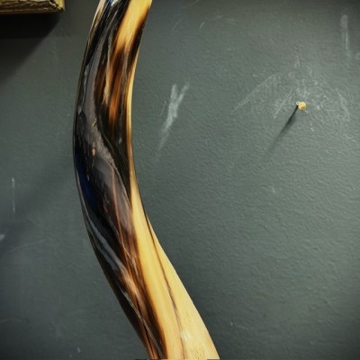 Greater Koudou polished horn on pedestal South african antelope