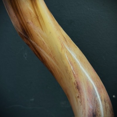 Greater Koudou polished horn on pedestal South african antelope