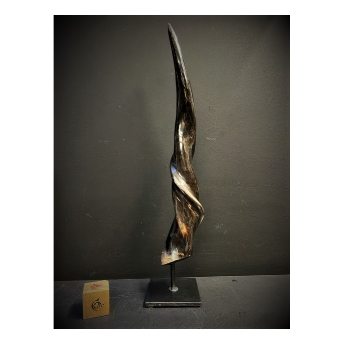 Koudou polished horn on pedestal