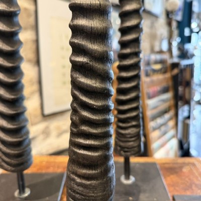 South African Oryx horn polished on base - Oryx gazella