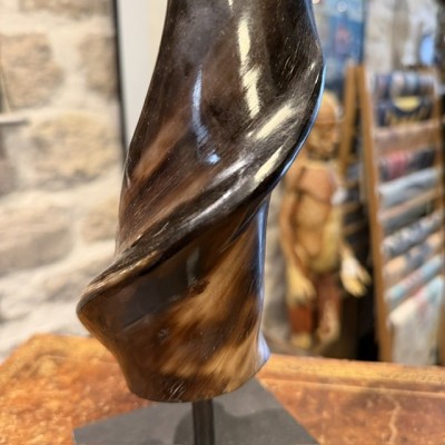 Southern eland polish horn on pedestal - Taurotragus oryx