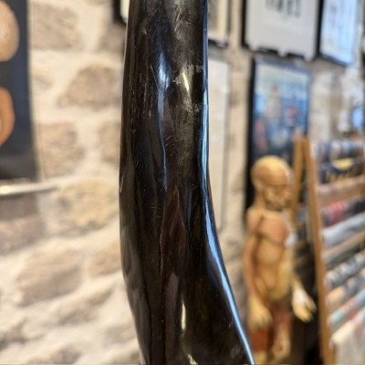 Southern eland polish horn on pedestal - Taurotragus oryx