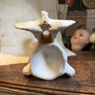 Giraffe vertebra - With CITES license - Giraffa camelopardalis