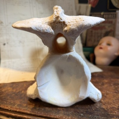 Giraffe vertebra - With CITES license - Giraffa camelopardalis