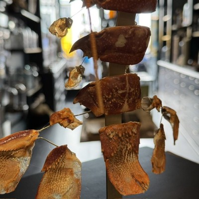Langouste Royale de Bretagne - Eclaté à la Beauchêne sous vitrine