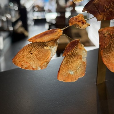 Royal spiny lobster - Beauchêne explosion style under glass