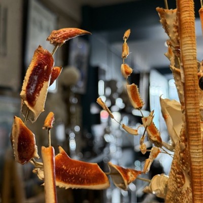 Royal spiny lobster - Beauchêne explosion style under glass