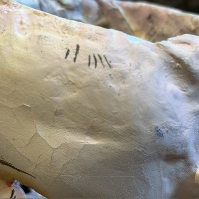 Antique papier-mâché doll’s head on a wooden base - Ref A