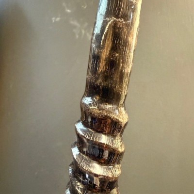 Polished Oryx Skull - South African Oryx gazella - Wall Trophy